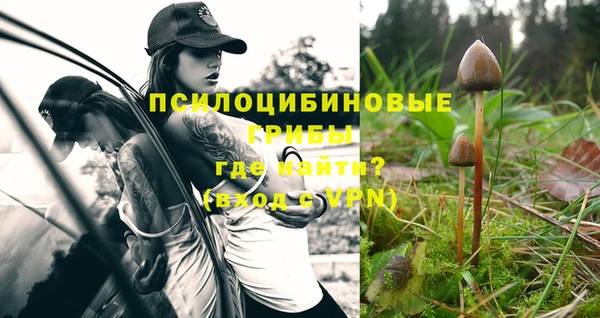 марихуана Баксан