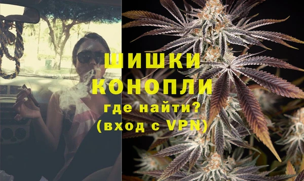 дурь Арсеньев