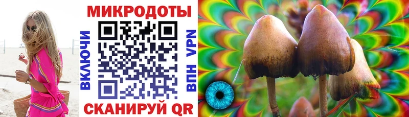 Псилоцибиновые грибы Psilocybe гидра ССЫЛКА Валдай